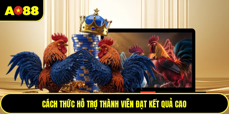 Cách thức hỗ trợ thành viên đạt kết quả cao